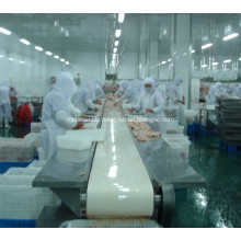 poultry processing line of belt conveyor